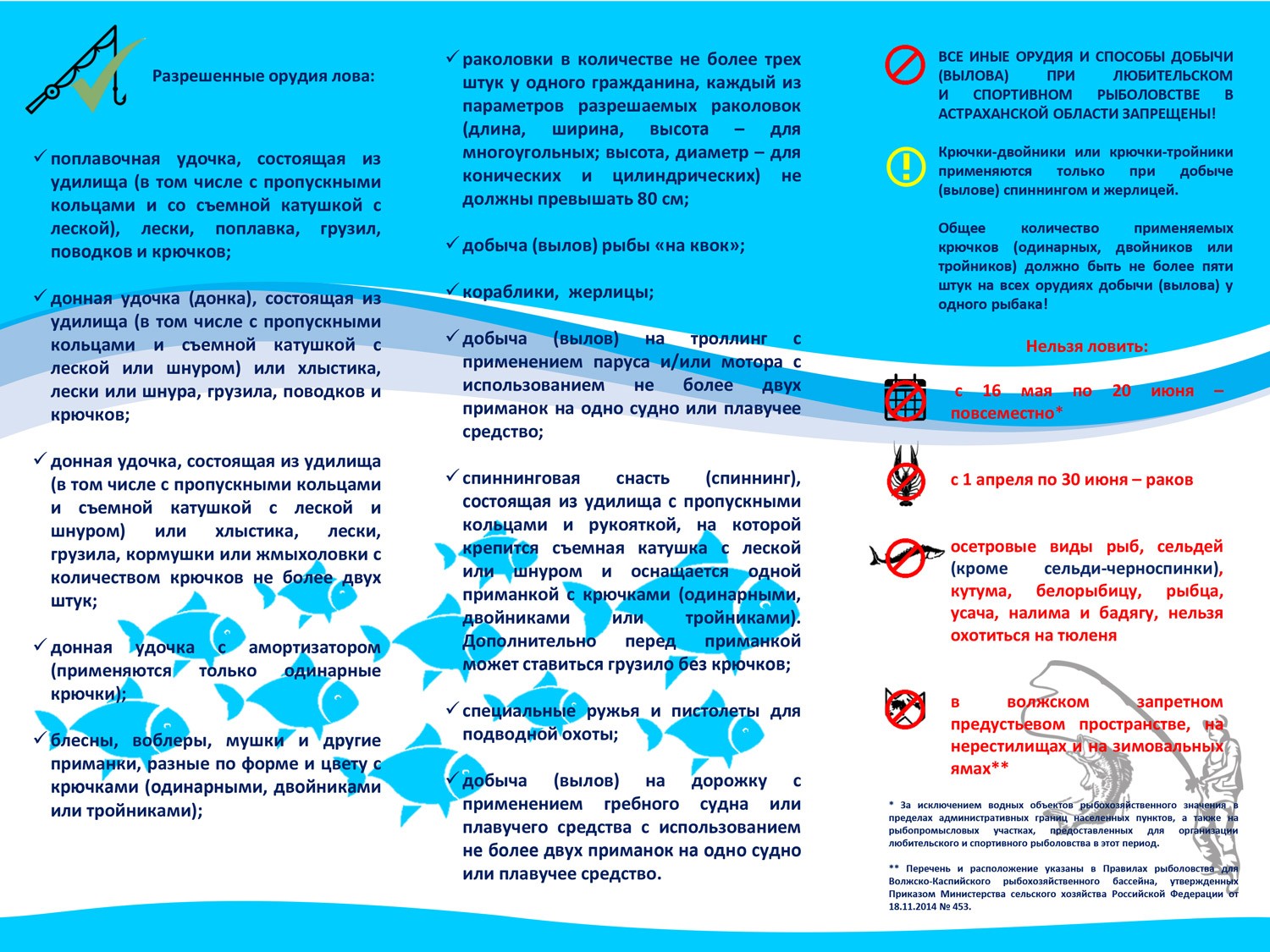 Правила любительского рыболовства в ростовской области